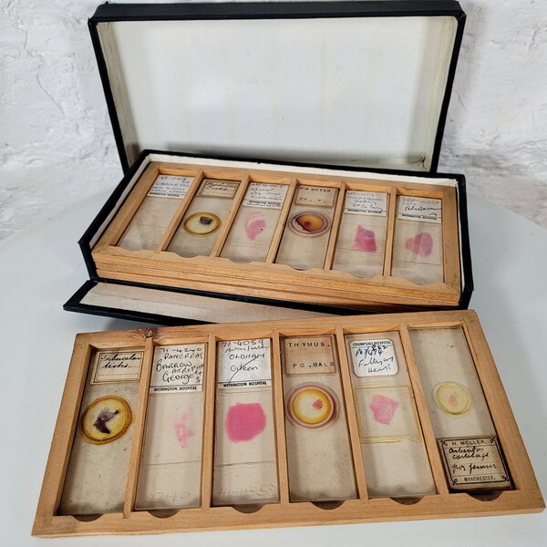 Vintage Microscope Etsy