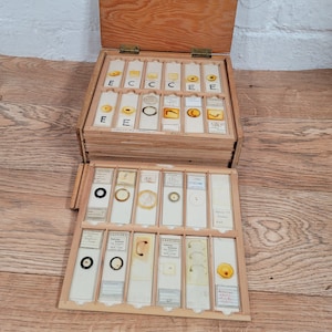 144 Antique Victorian and Later Microscope Slides: 144 Slides in Wooden Box