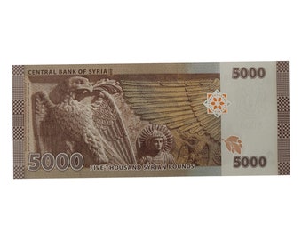 シリア新5000ポンドUNC紙幣 - Etsy 日本