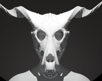 May include: A white, detailed, skull-like mask with large horns. The mask is made of a smooth, white material and has a realistic appearance.