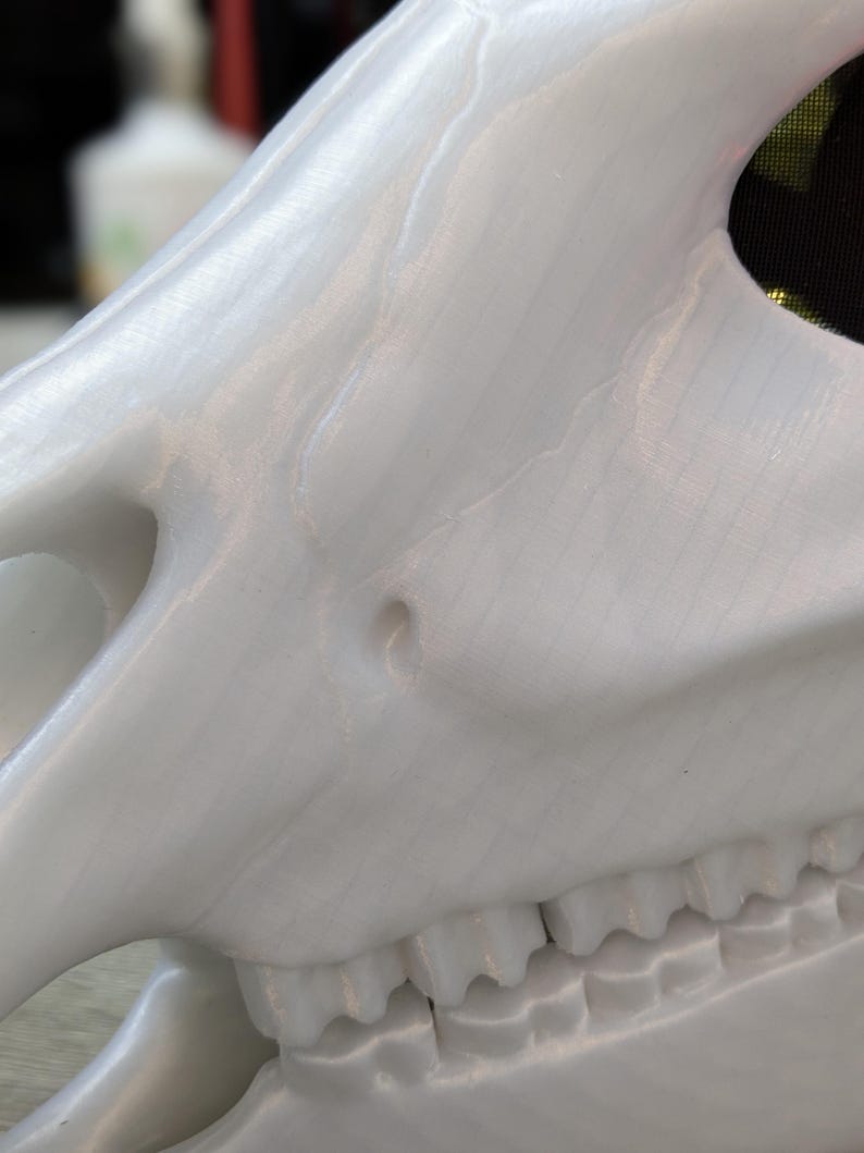 May include: White plastic skull mask with a detailed jaw and teeth. The mask is made of a smooth, glossy material.