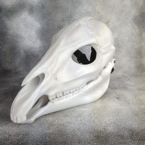 May include: White plastic skull mask with a black strap. The mask is designed to look like a horse skull.