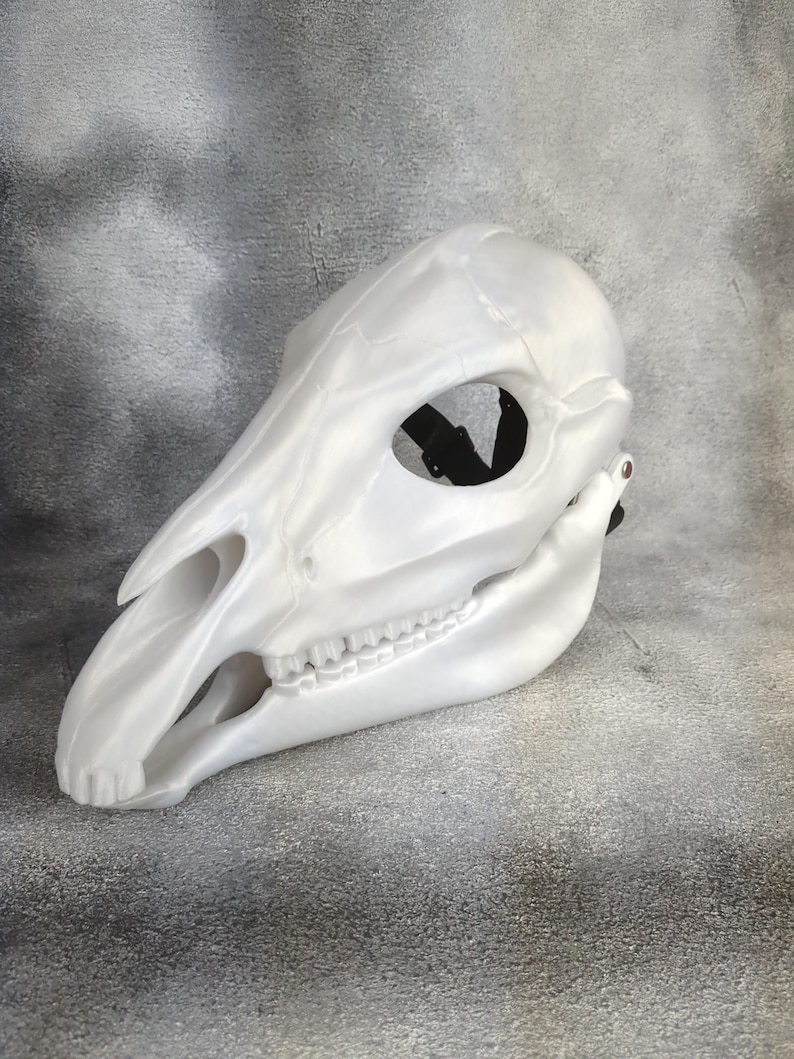 May include: White plastic skull mask with a black strap. The mask is designed to look like a horse skull.