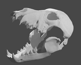 Wolf Skull Mask with Moving Jaw: 3D Print STL File (Digital Download)