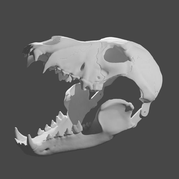 Wolf Skull Mask with Moving Jaw: 3D Print STL File (Digital Download)