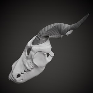 Elias Ainsworth Inspired Skull Mask 3D Model STL File: Moving Jaw Cosplay image 2