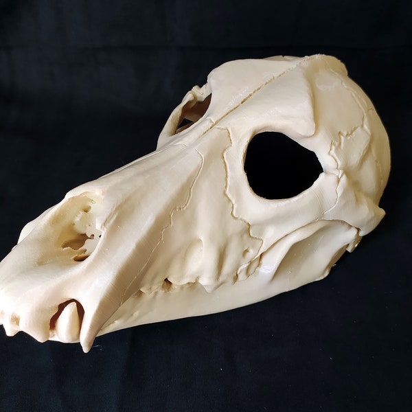 Wolf skull mask moving jaw, 3d printed mask, skull mask, cosplay mask, scary mask, halloween mask, animal skull mask