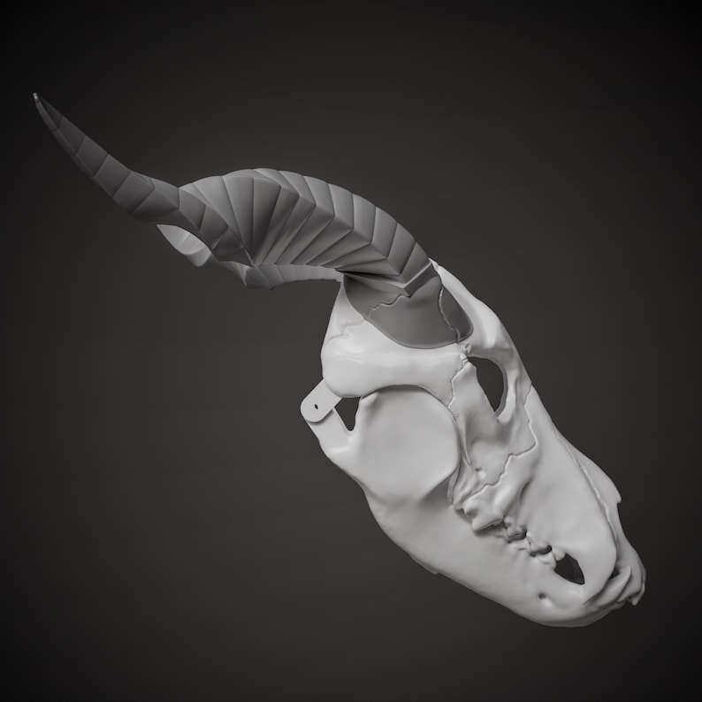 Elias Ainsworth Inspired Skull Mask 3D Model STL File: Moving Jaw Cosplay image 12