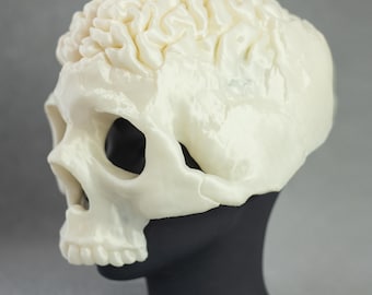 May include: A cream-colored skull mask with a detailed brain design on top. The skull has eye sockets and a jawline. The mask is mounted on a black stand against a gray background. This unique mask is ideal for Halloween or costume parties.