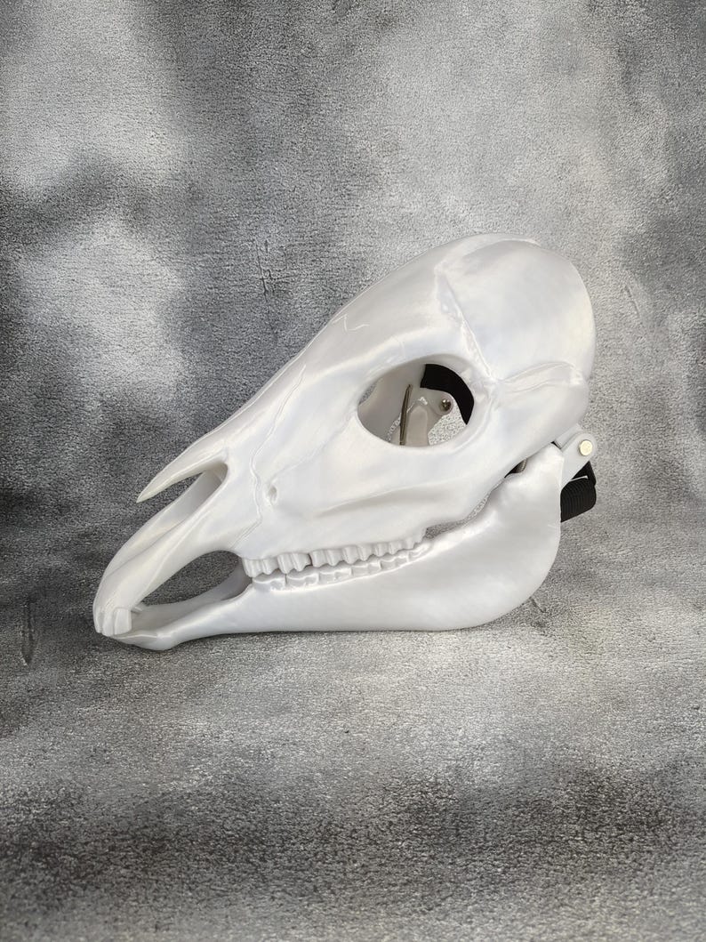 May include: A white, articulated animal skull with a detailed jaw and teeth. The skull is made of a smooth, white material and has a slightly iridescent finish.