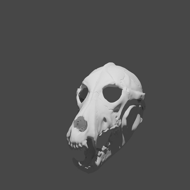 May include: A white, detailed, 3D printed dog skull with an open jaw.