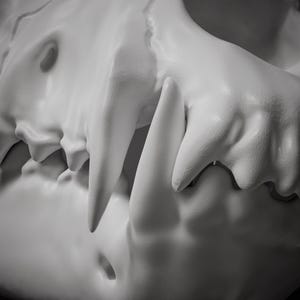 Elias Ainsworth Inspired Skull Mask 3D Model STL File: Moving Jaw Cosplay image 13