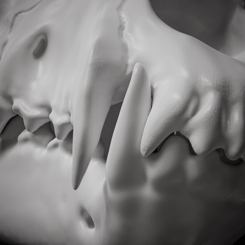 Elias Ainsworth Inspired Skull Mask 3D Model STL File: Moving Jaw Cosplay image 13