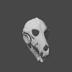 May include: A white 3D printed dog skull model. The skull is detailed and realistic, with visible teeth and eye sockets.