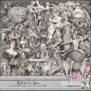 Serpentine - Renaissance, Barock, Rokoko - 30 einzelne Png-Dateien - zum sofortigen Download