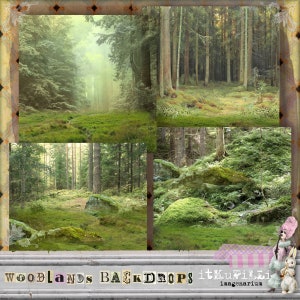 Op de afbeelding: Vier digitale afbeeldingen van een weelderig groen bos met hoge bomen en een mossige bosbodem. De afbeeldingen zijn in een rasterpatroon gerangschikt. De tekst "WOODLANDS BACKDROPS itKuPilai imagenarium" staat onderaan de afbeelding.
