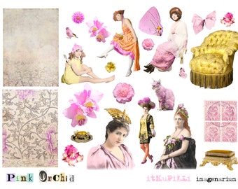 May include: A collage of vintage-style illustrations and graphics, featuring pink orchids, a yellow armchair, a pink cat, and women in antique clothing. The text "Pink Orchid" is at the bottom, along with other text.
