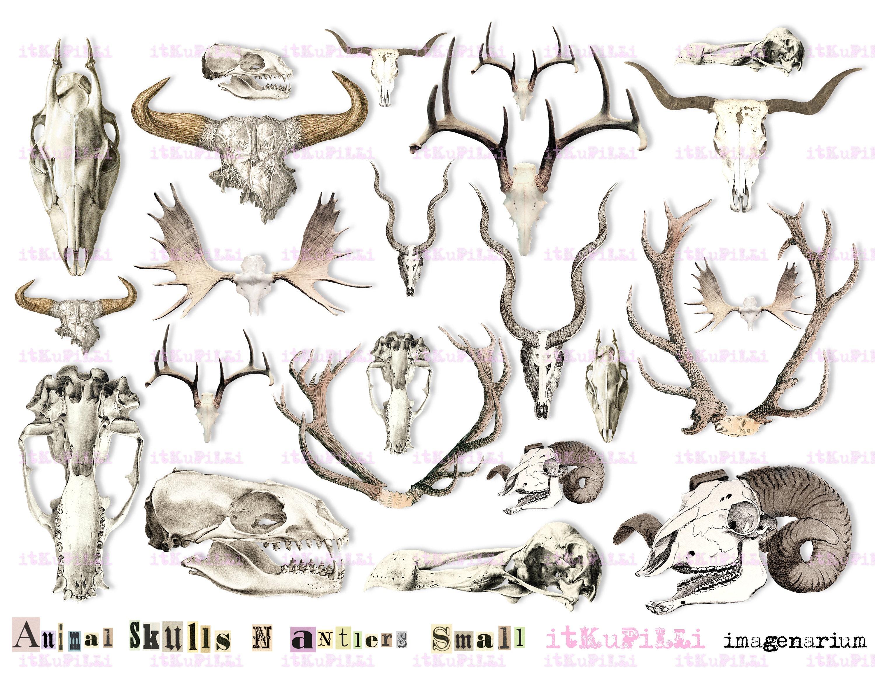 Animal Skulls N Antlers Small Halloween ATC ACEO Digital | Etsy