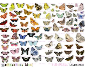 Butterflies Mini  - ATC Digital Collage Sheet - jpg and png - Printable, instant download