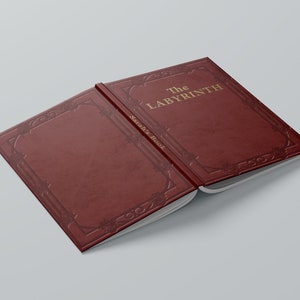 Labyrinth Notebook - Sarah&#39;s Book Design Personalised Hardback Lined Journal