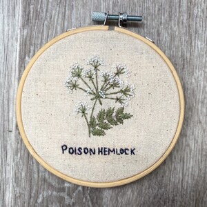 May include: Embroidered hoop art featuring a white flower with green leaves and the text "Poison Hemlock".