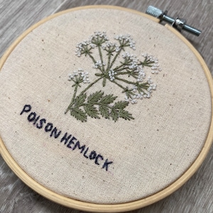 May include: Embroidered hoop art featuring a white flower with green leaves and the text "Poison Hemlock".