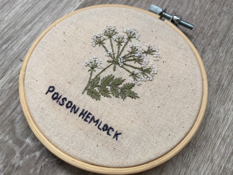 May include: Embroidered hoop art featuring a white flower with green leaves and the text "Poison Hemlock".