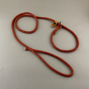 Dog Slip Leash with Leather Stopper, Natural Hemp Slip Lead