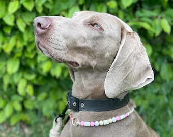 Collier anti-tiques pour chien avec céramique EM, insectifuge naturel