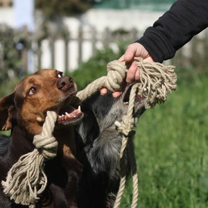 Organic hemp rope dog toy, Made for serious chewers, Eco friendly and natural dog toy, Large size handmade toy for dogs, Pet chew toy