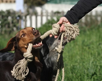 Jouet pour chien en corde de chanvre biologique, Conçu pour les mâcheurs sérieux, Jouet pour chien écologique et naturel, Jouet fait à la main de grande taille pour chiens, Jouet à mâcher pour animaux de compagnie