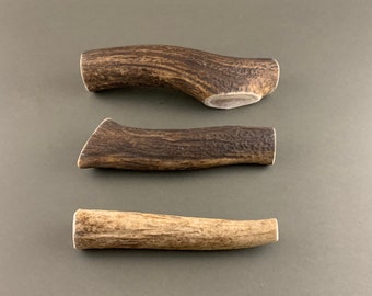 WHOLE deer antler in three sizes from biologically certified deer garden - ONE PIECE