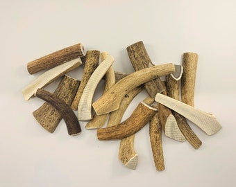 S size Natural deer antler from biologically certified deer garden - ONE PIECE