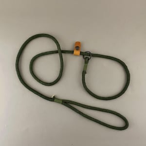 May include: A green cotton rope dog leash with a brown leather loop and a metal ring.
