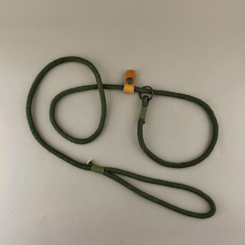 May include: A green cotton rope dog leash with a brown leather loop and a metal ring.