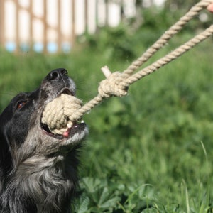 Organic Hemp Rope Monkey Fist Dog Toy, Tug and Fetch