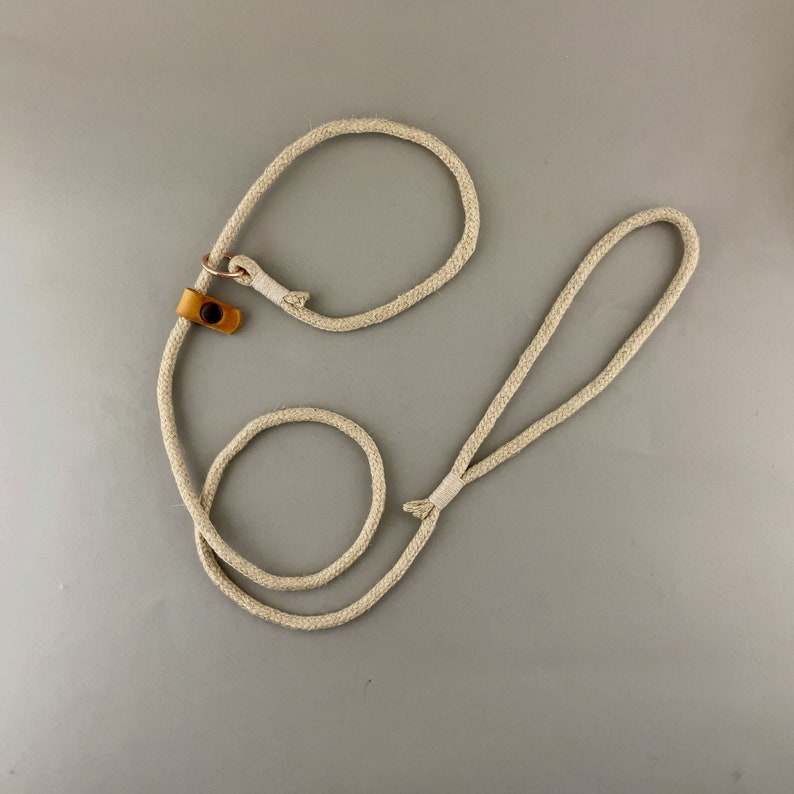 May include: A beige cotton rope dog leash with a brown leather loop and a metal ring.