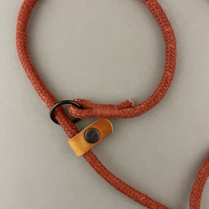 May include: A close-up of a red rope dog leash with a brown leather loop and a black metal ring.