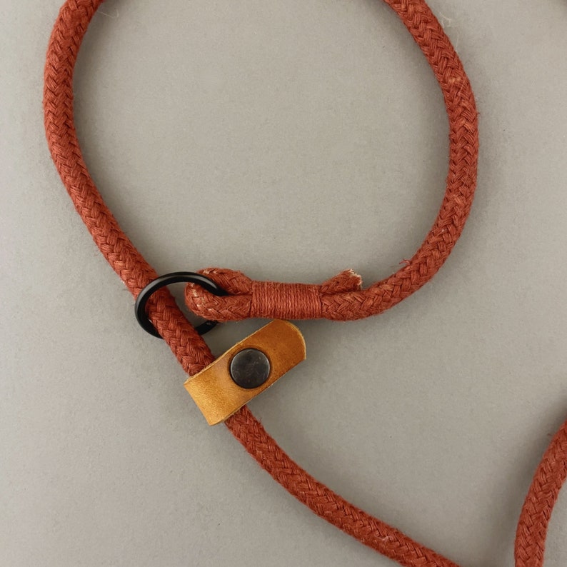 May include: A close-up of a red rope dog leash with a brown leather loop and a black metal ring.