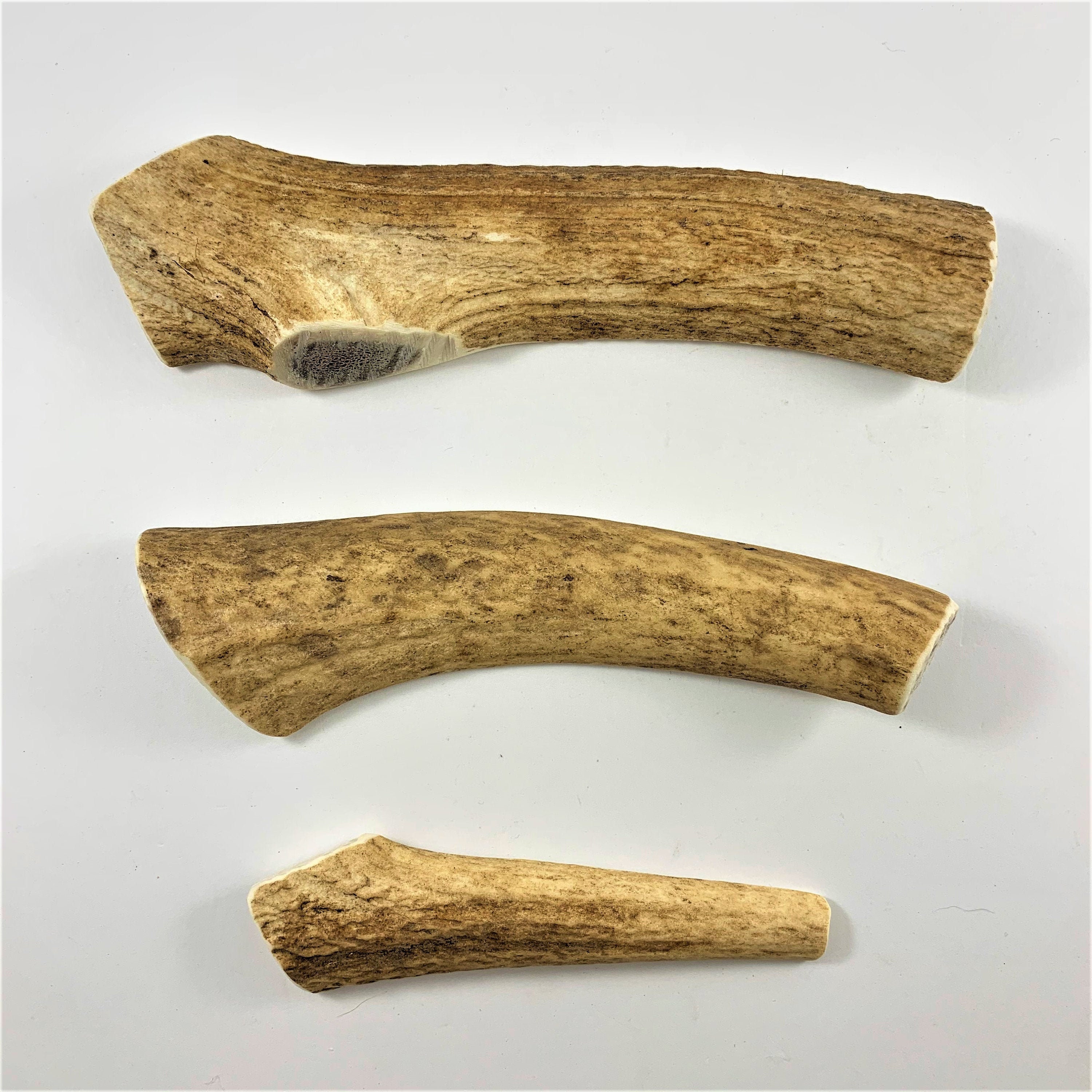 Deer Antlers for Dogs -  Canada