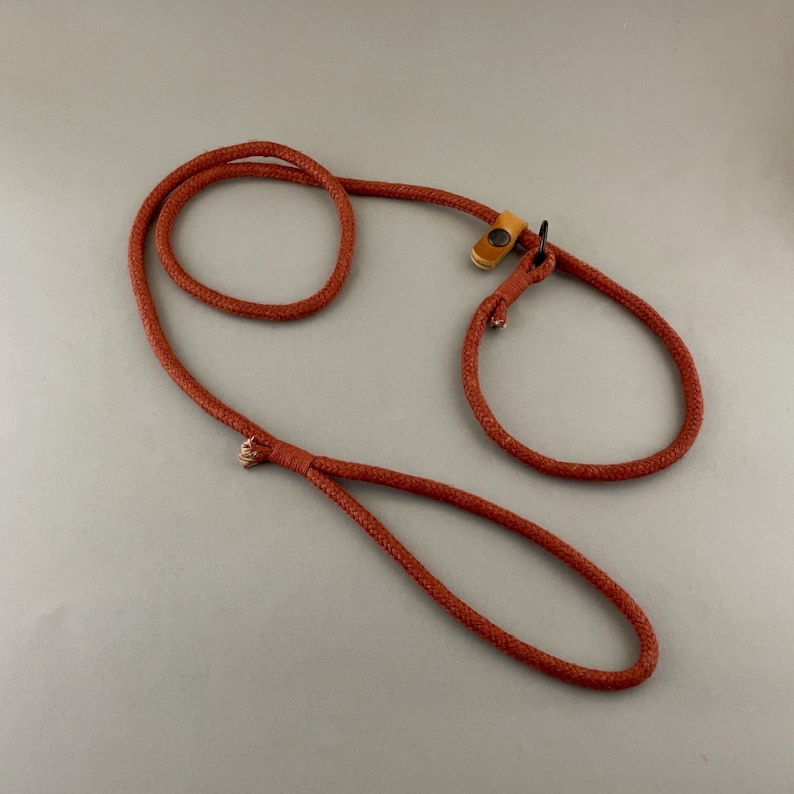 May include: A red rope dog leash with a brown leather loop and a metal clasp.
