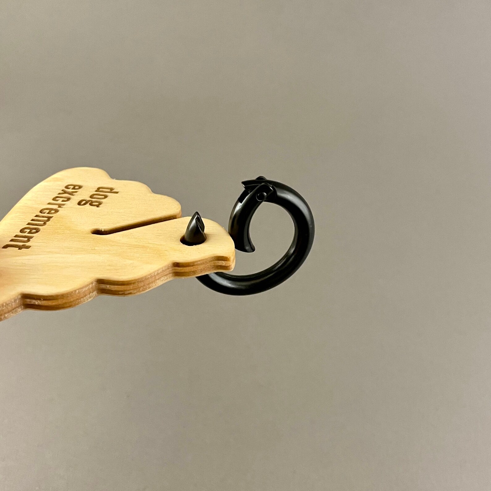 Poop Bag Holder With Personalized Color and Engraving Options Etsy