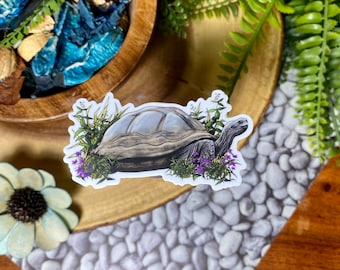Tortoise Sticker