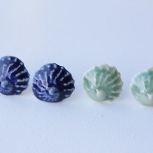 Shell earrings, shell studs, porcelain earrings