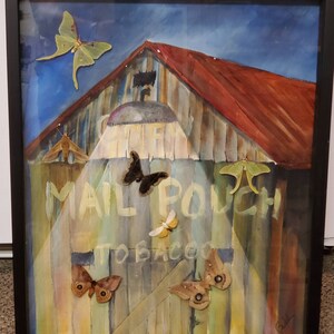 3 Dimensional Shadow Box Framed painting with real insects. &quot;Country night light 2&quot;