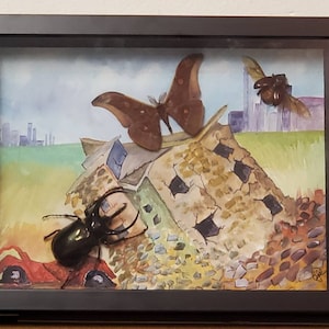3 Dimensional Shadow Box Framed painting with real insects. &quot;When bugs go bad&quot;