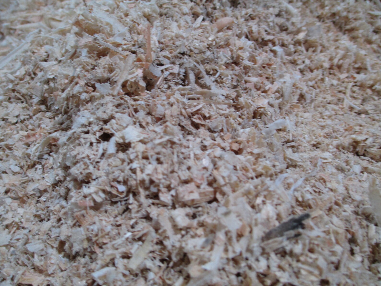 Wood Shavings Sawdust 8oz/1 Gal Etsy