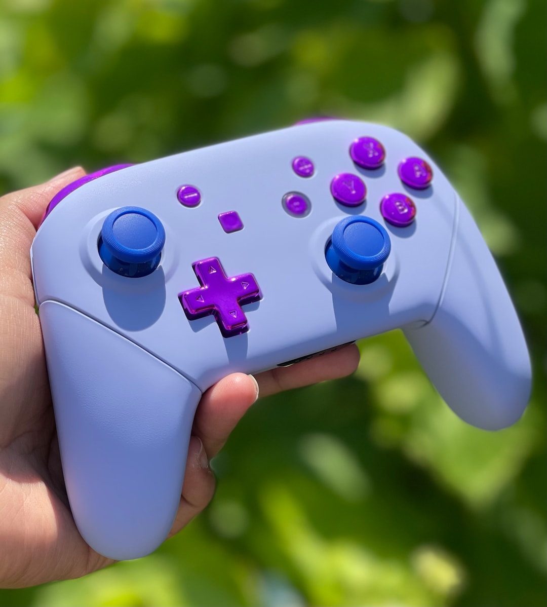 Custom Nintendo Controller Crafted for Victory: Handmade Custom Nintendo Switch Pro Controller ...