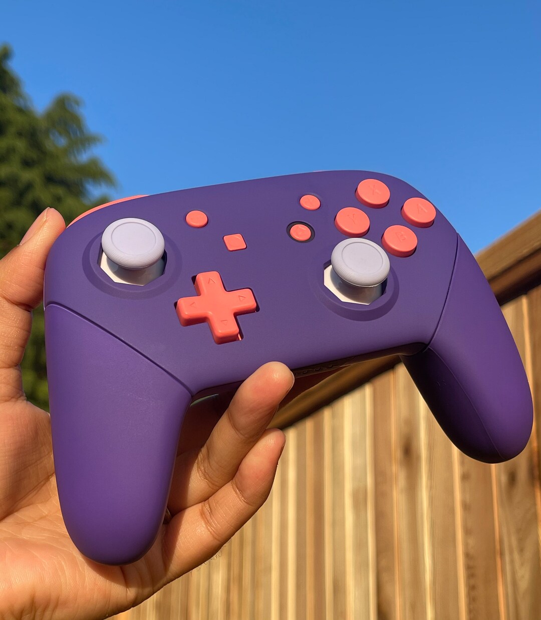 Custom Nintendo Controller Custom Nintendo Switch Pro Controller: Soft Touch Blue, Cherry Blossom ...