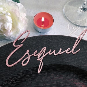 Roségold Glitzer Acryl Laser cut Namen| Hochzeitskarten | Glitzer Hochzeitsplatznamen | Rosegold Hochzeitsdekoration